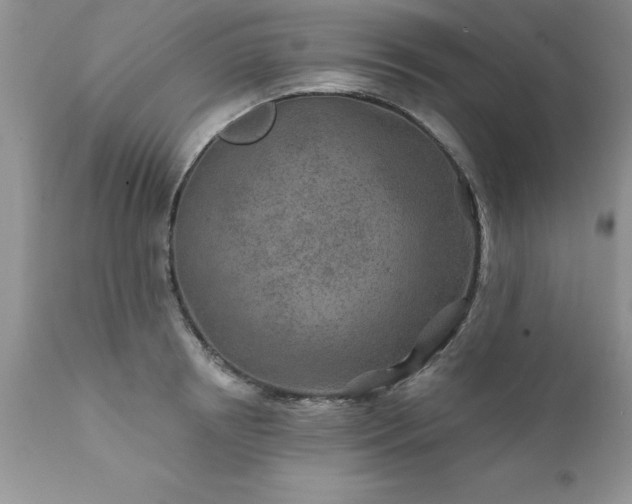 X0000111790850200907301143