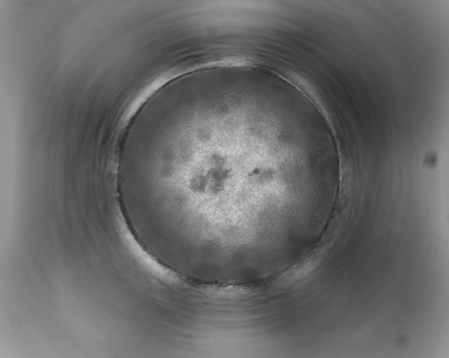 X0000111790851200907301143