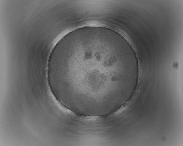 X0000111790853200907301143