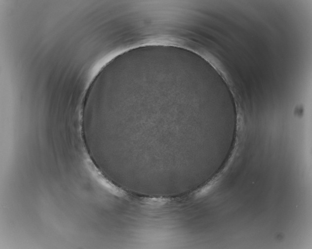 X0000111790854200907301144