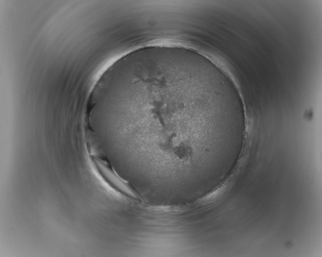 X0000111790855200907301144