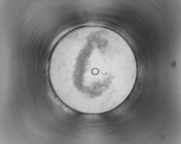 X0000111790856200907301144