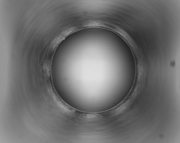 X0000111790857200907301144