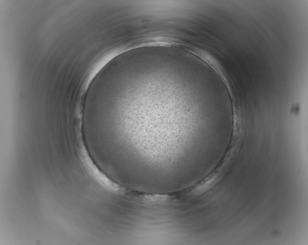 X0000111790859200907301144