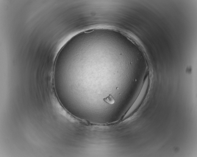 X0000111790860200907301144