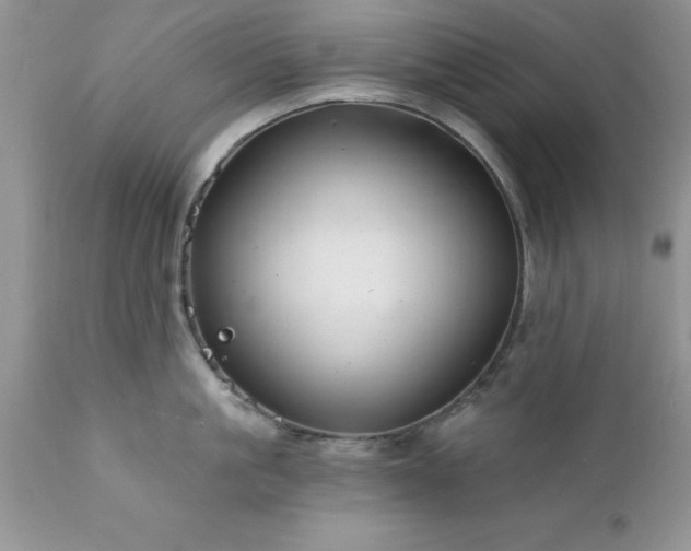 X0000111790861200907301144