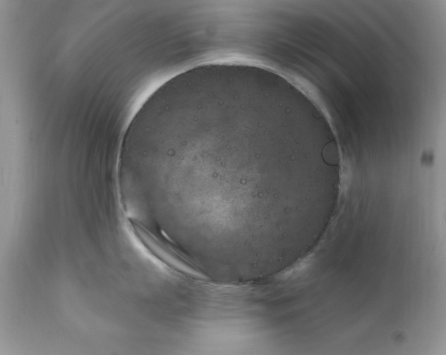 X0000111790863200907301144