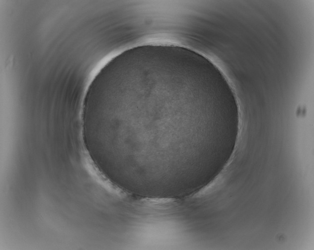 X0000111790864200907301144