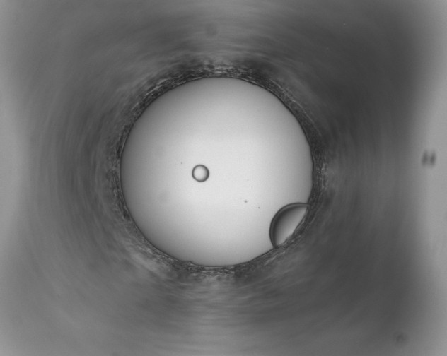 X0000111790865200907301143