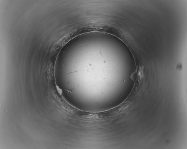 X0000111790867200907301143