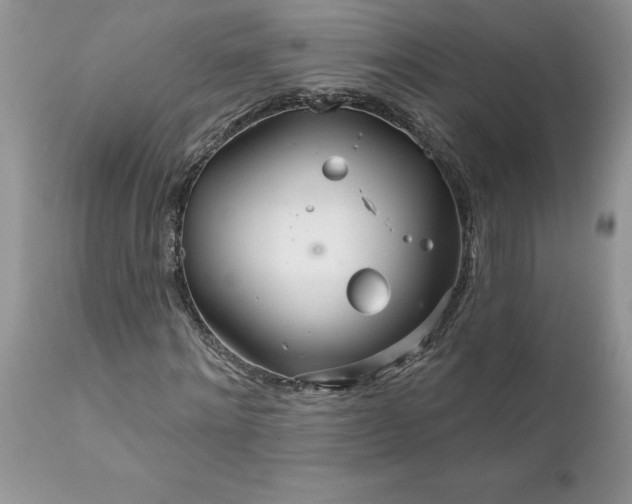 X0000111790868200907301143