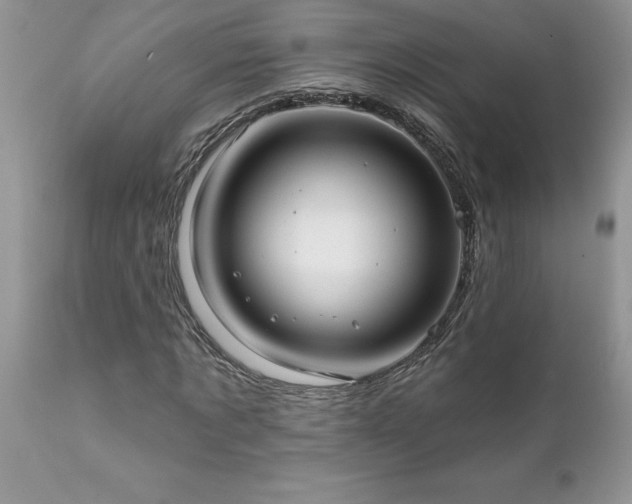 X0000111790869200907301143