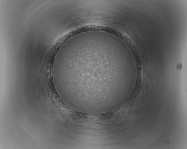 X0000111790870200907301143