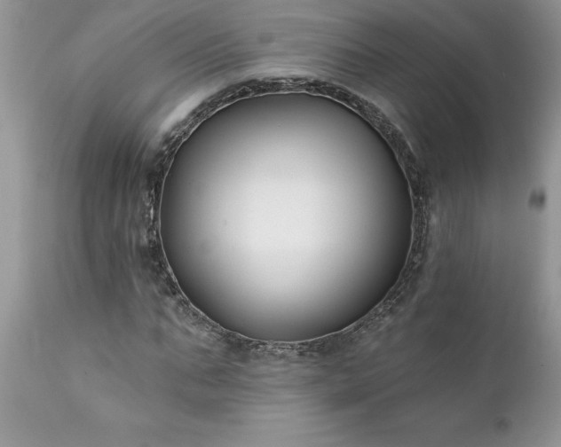 X0000111790871200907301143