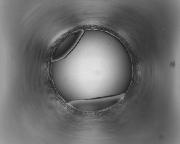 X0000111790872200907301143