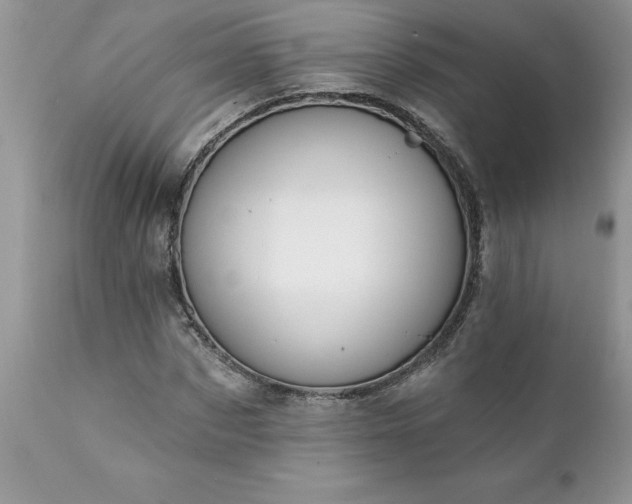 X0000111790873200907301143