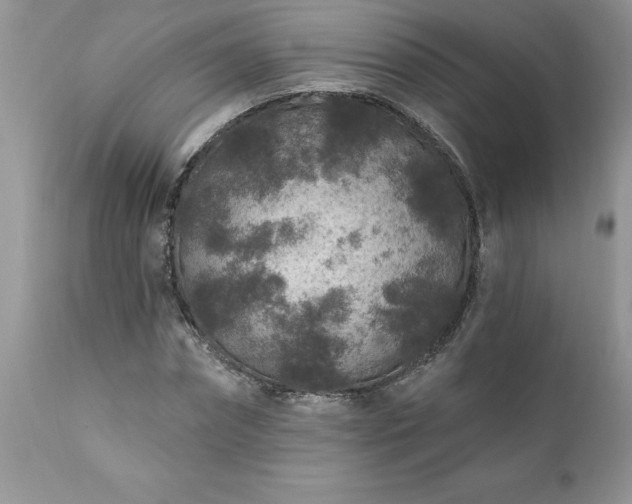 X0000111790874200907301143