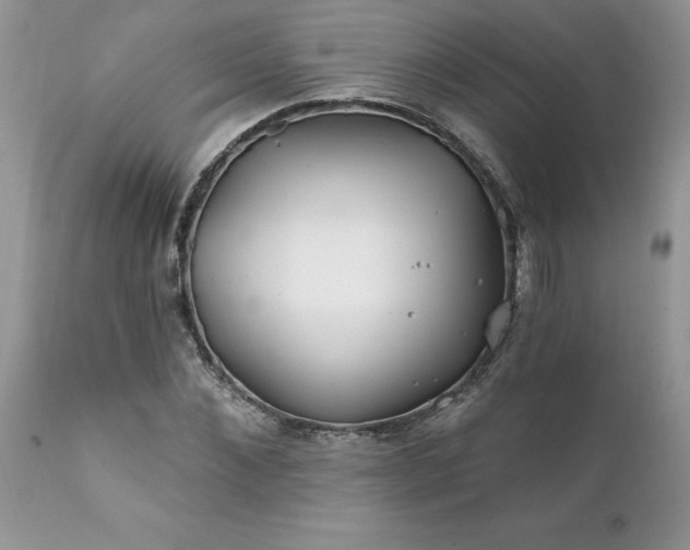 X0000111790876200907301143