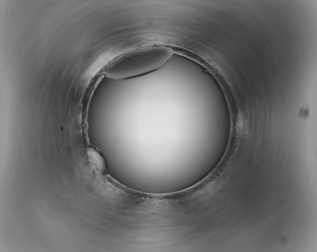 X0000111790877200907301143