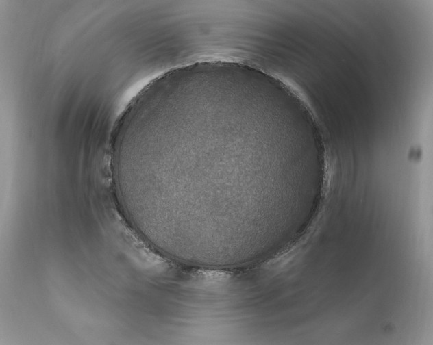 X0000111790878200907301143