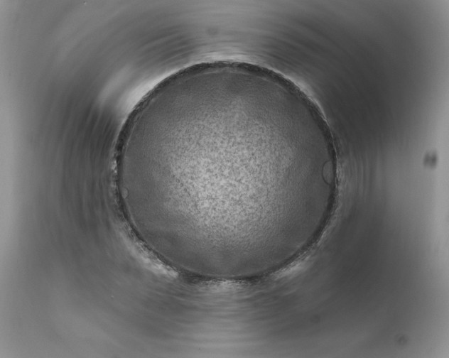 X0000111790879200907301143