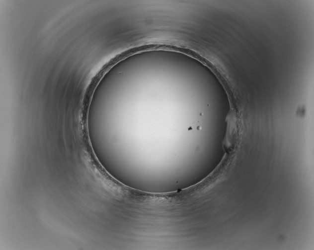 X0000111790880200907301143