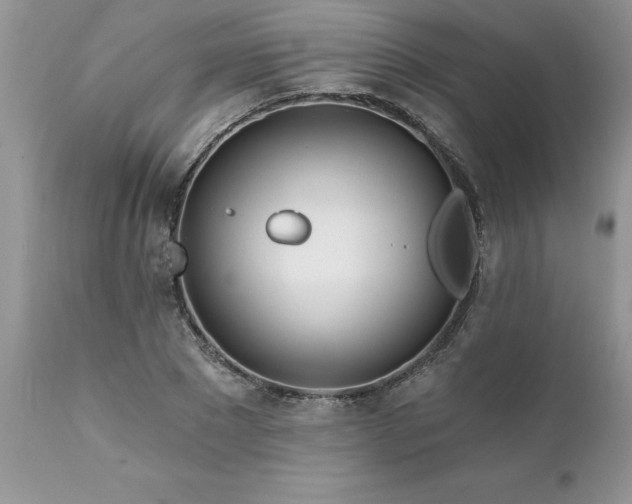 X0000111790881200907301143