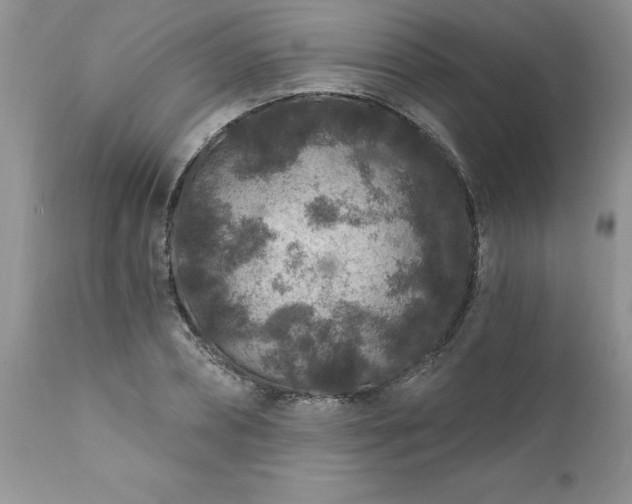 X0000111790882200907301143