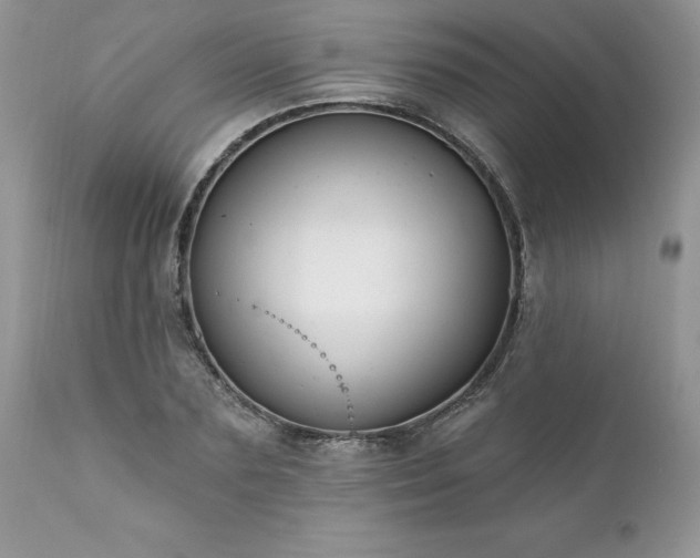 X0000111790883200907301143