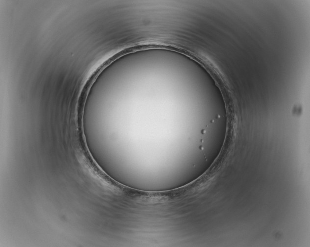 X0000111790884200907301143