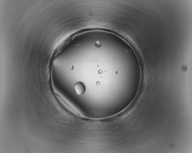 X0000111790885200907301143