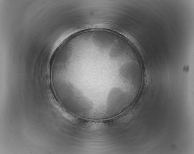 X0000111790886200907301143