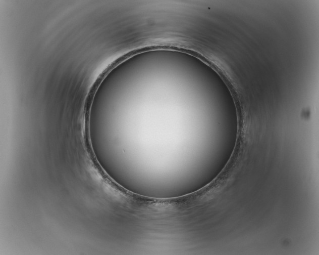 X0000111790888200907301143