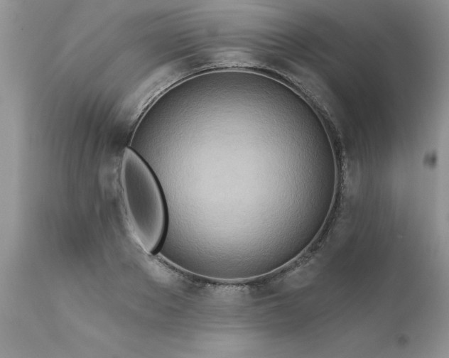 X0000111790889200907301143