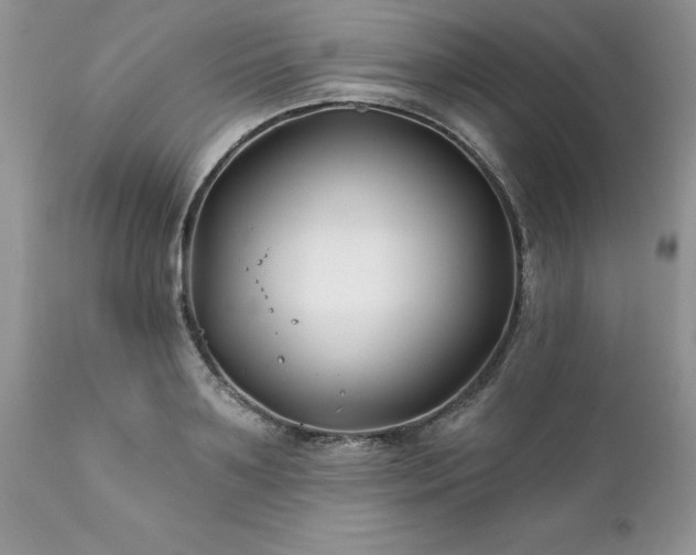 X0000111790891200907301143