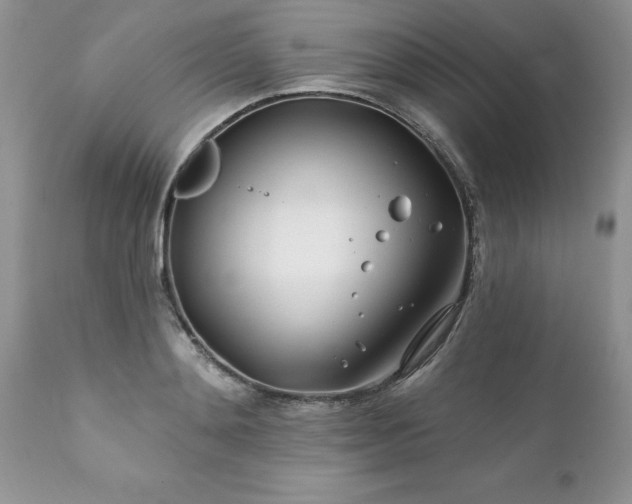 X0000111790892200907301143