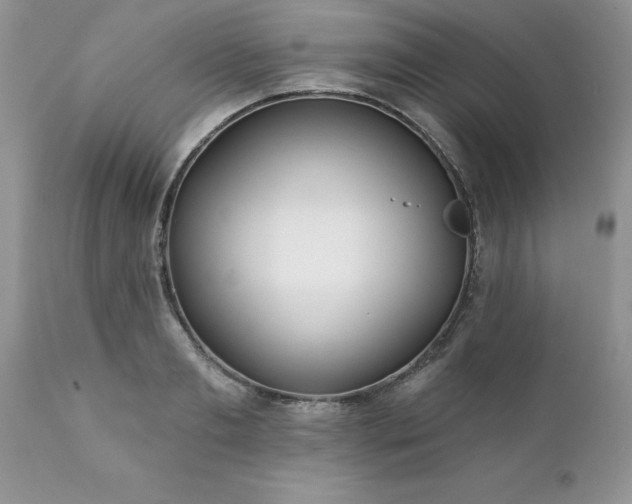 X0000111790893200907301143