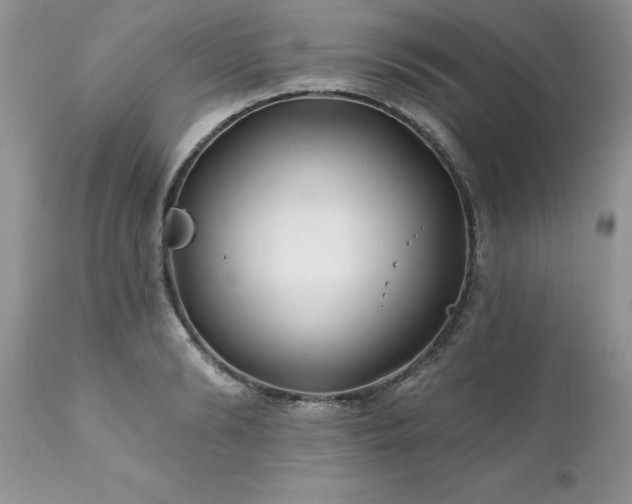 X0000111790894200907301143