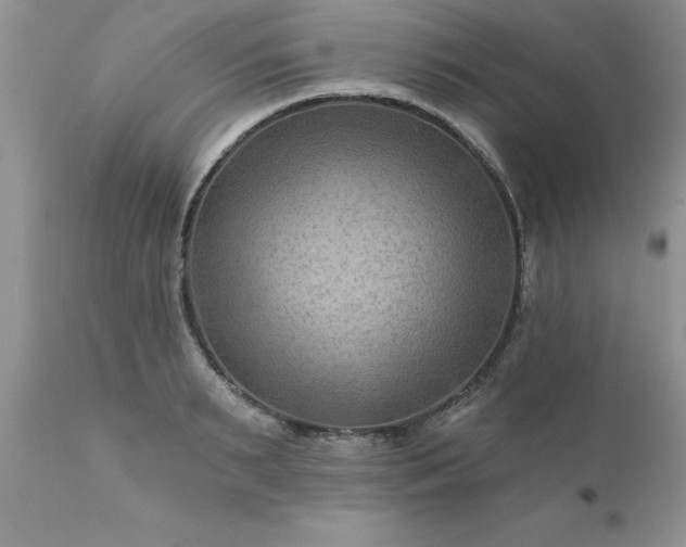 X0000111790895200907301143