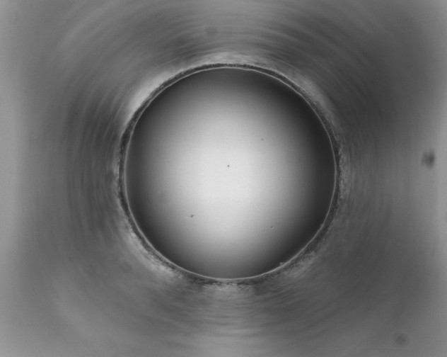 X0000111790896200907301143