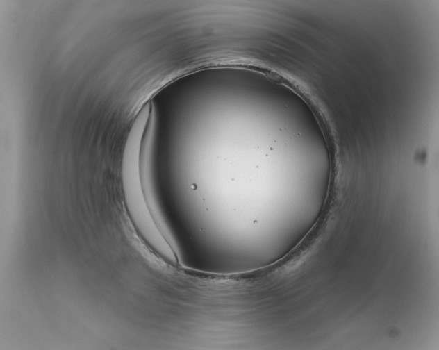 X0000111790897200907301143