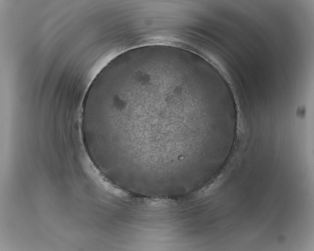 X0000111790899200907301143