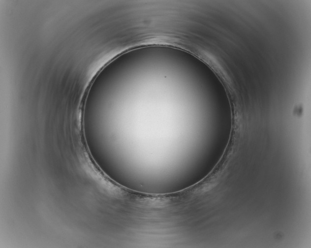 X0000111790900200907301143