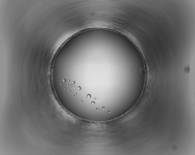 X0000111790901200907301142