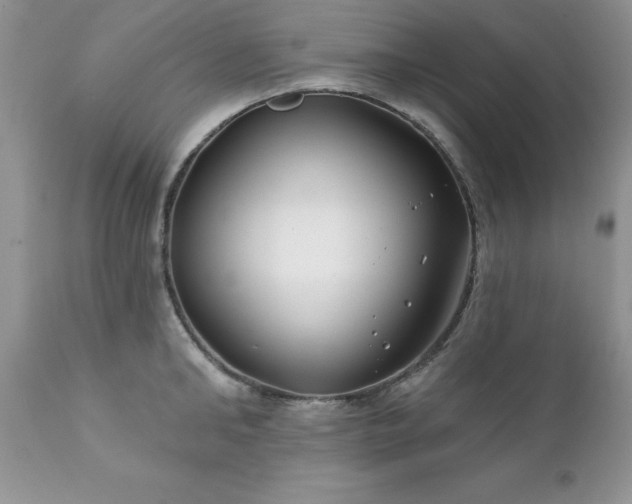 X0000111790902200907301142