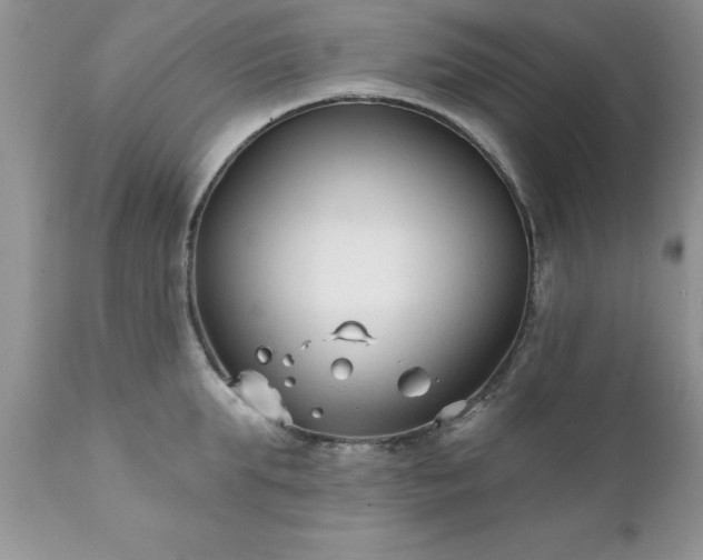 X0000111790903200907301142