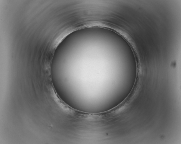 X0000111790905200907301142