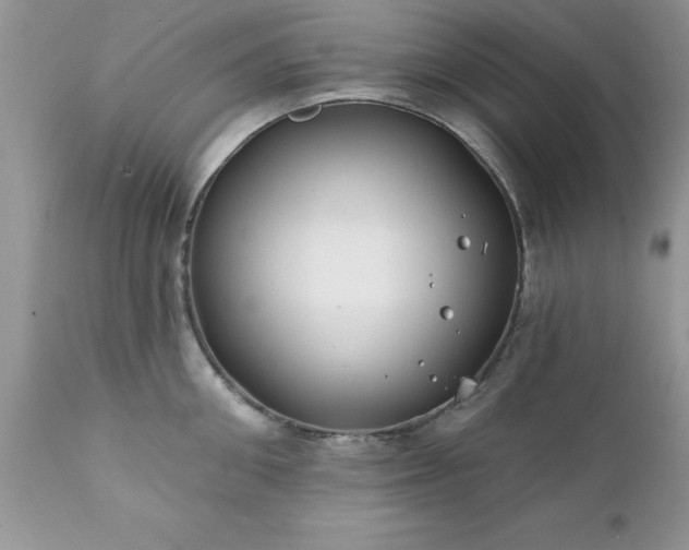 X0000111790906200907301142