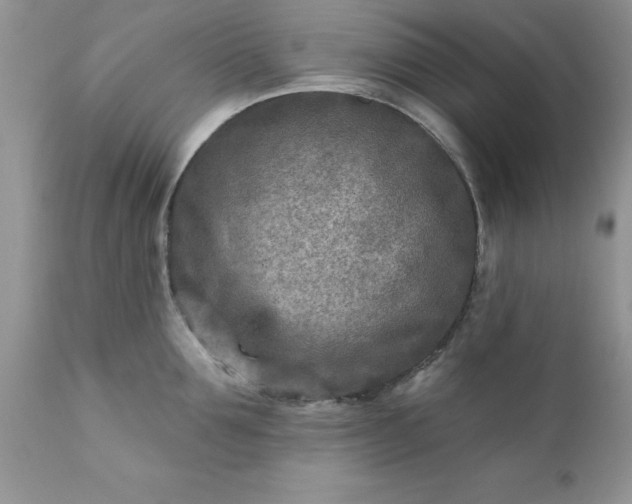 X0000111790907200907301142