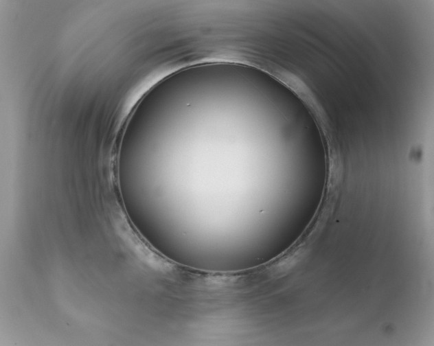 X0000111790908200907301142